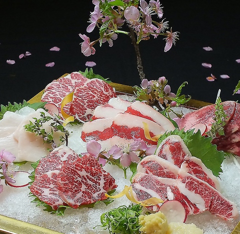 馬肉料理居酒屋 安坐 下通り店
